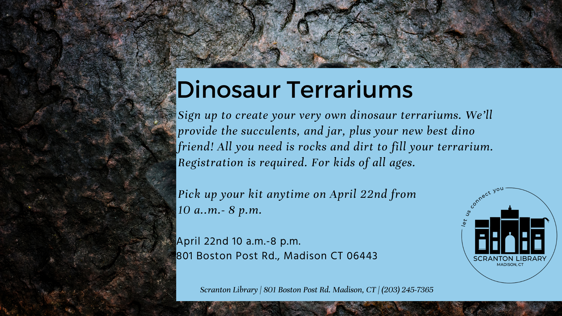 Dino Terrariums