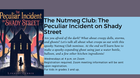 The Peculiar Incident on Shady Street