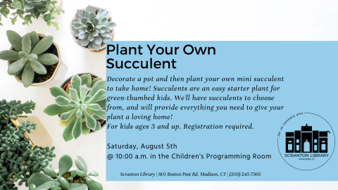 Plant Your Own Succulent