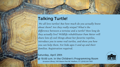 Talking Turtle