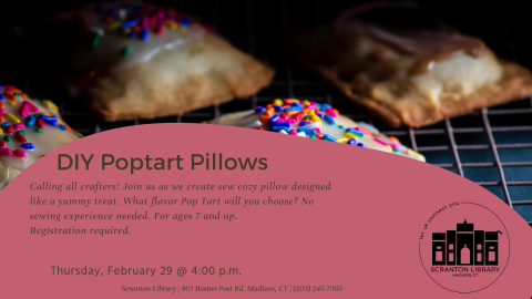 DIY Poptart Pillows