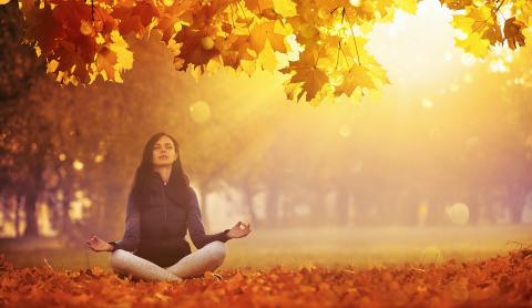 Autumn meditation