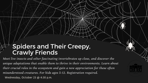 Spiders & Their Creepy Crawly Friends