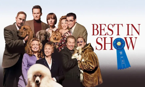 A group of people with their show dogs