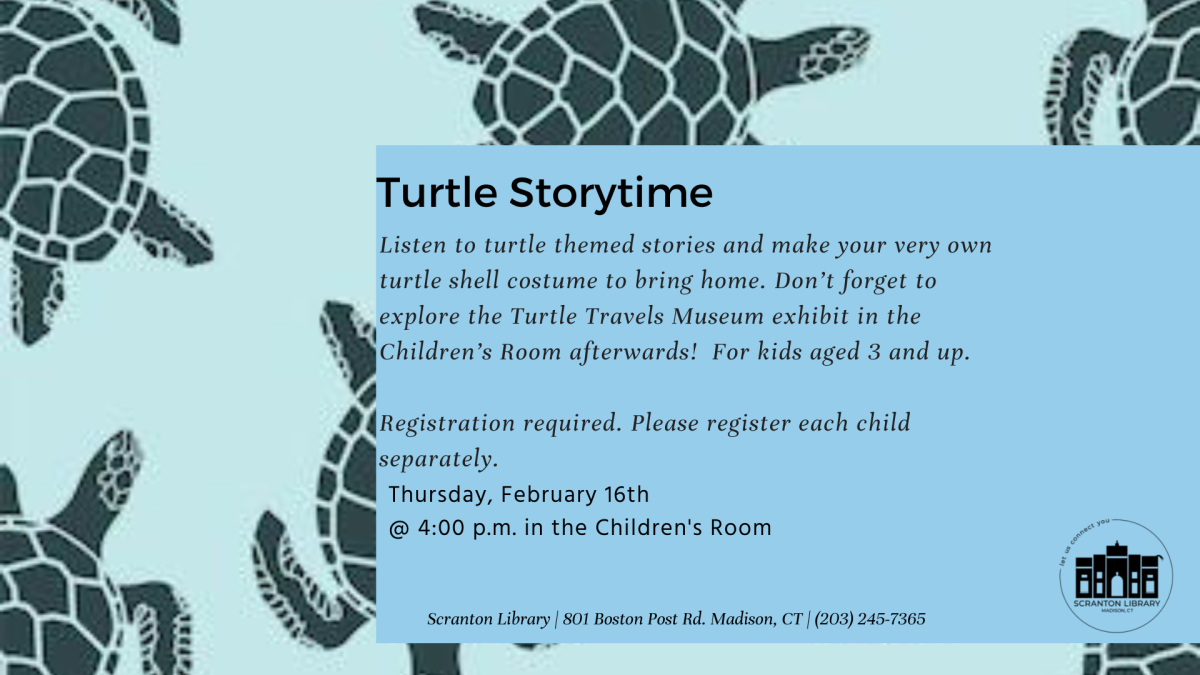 Turtle Storytime