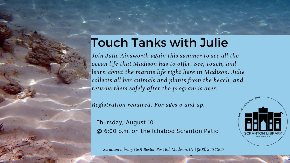 Touch Tanks with Julie