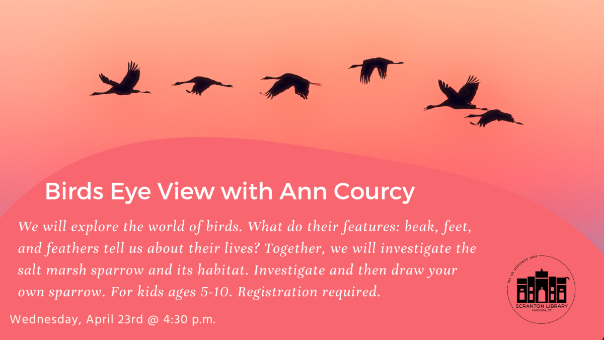 Ann Courcy Birds Eye View