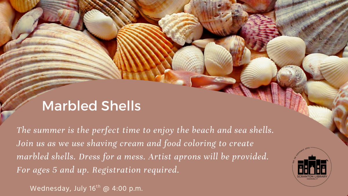 Marbled Shells 