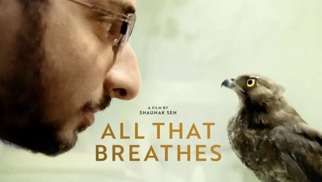 A man with glasses staring at a hawk